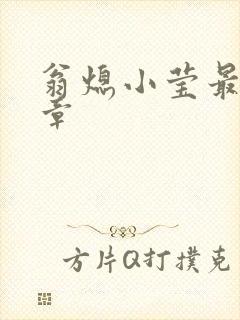 翁熄小莹最新节章封面