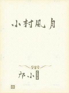 小村风月封面