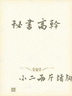 秘书高干