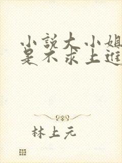 小说大小姐她总是不求上进封面