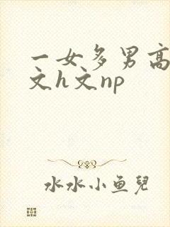 一女多男高辣h文h文np