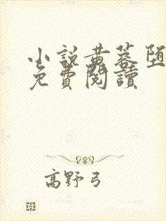 小说黄蓉堕落记免费阅读封面