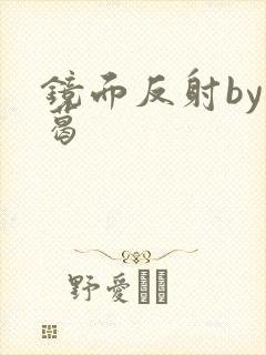 镜面反射by九葛封面