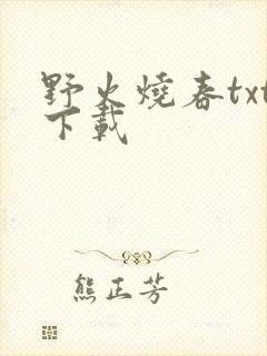 野火烧春txt下载