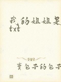 我的姐姐是美女txt