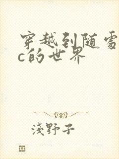 穿越到随处可以c的世界封面