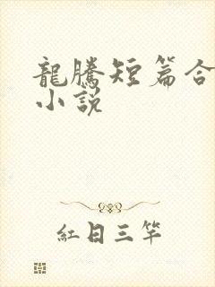 龙腾短篇合集的小说
