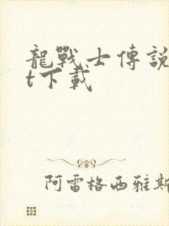 龙战士传说txt下载