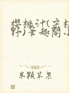 樱桃汁(宋枝江野)笔趣阁小说