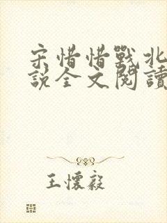 宋惜惜战北望小说全文阅读