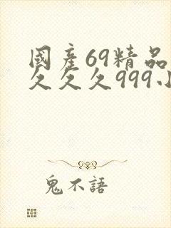 国产69精品久久久久999小说封面