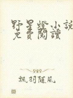 野星灯小说全文免费阅读封面