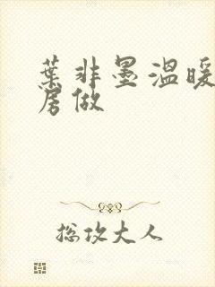 叶非墨温暖在厨房做封面