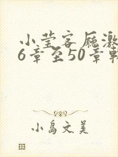 小莹客厅激情46章至50章软件介绍