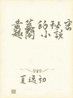 黄蓉的秘密 笔趣阁 小说封面