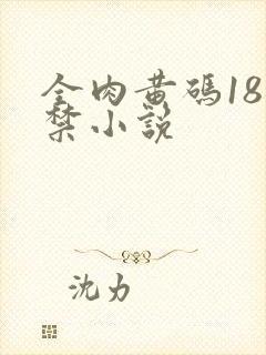 全肉黄码18无禁小说封面