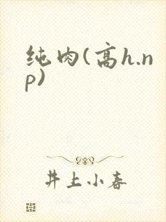 纯肉(高h.np)