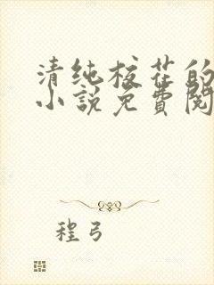 清纯校花的秘密小说免费阅读