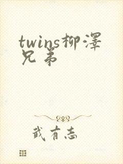 twins柳泽兄弟封面
