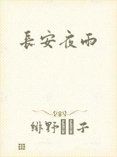 长安夜雨
