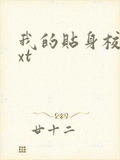 我的贴身校花txt封面