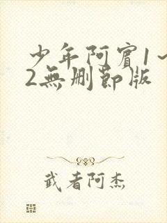 少年阿宾1～72无删节版