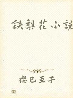 铁梨花小说封面