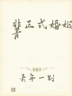 非正式婚姻雾里青