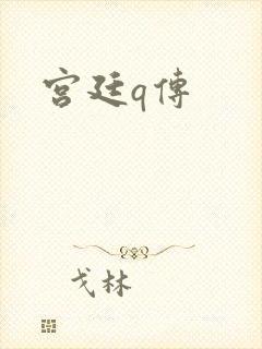 宫廷q传