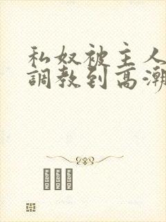 私奴被主人玩弄调教到高潮小说