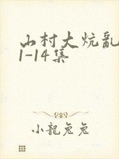 山村大炕乱肉续1-14集封面