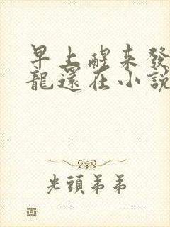 早上醒来发现巨龙还在小说