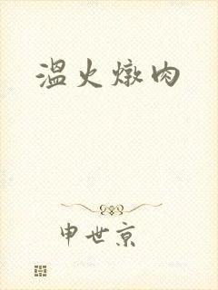 温火炖肉