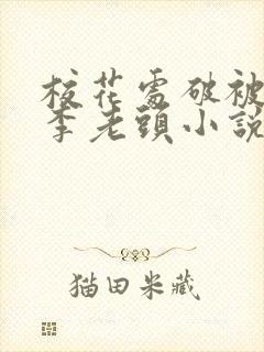 校花处破被灌满李老头小说