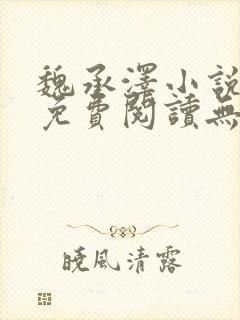 魏承泽小说全文免费阅读无弹窗笔趣封面