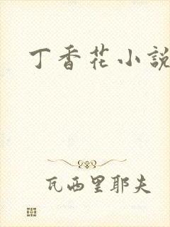 丁香花小说