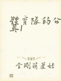 体育队的公用玩具1