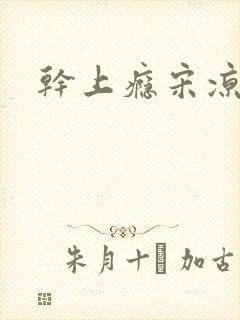 干上瘾宋凉向周封面