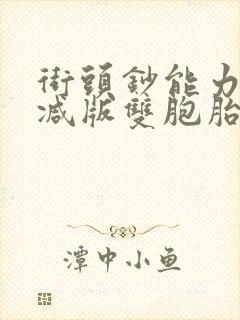 街头钞能力无删减版双胞胎封面