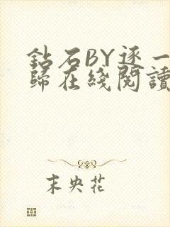 钻石BY逐一而归在线阅读