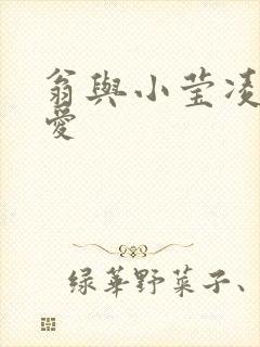 翁与小莹凌晨欢爱