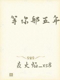 等你那五年封面