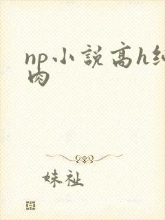 np小说高h纯肉