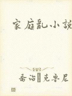 家庭乱小说