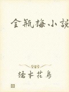 金瓶梅小说封面