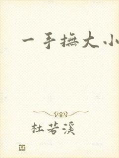 一手抚大小说