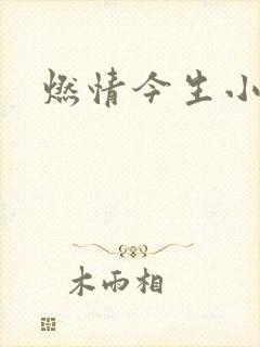 燃情今生小说