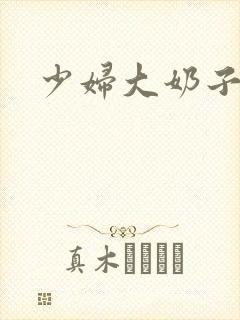 少妇大奶子小说