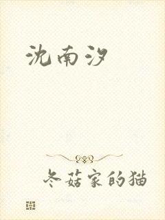 沈南汐封面