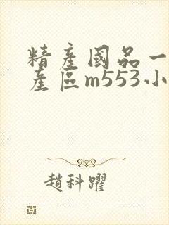 精产国品一二三产区m553小说封面